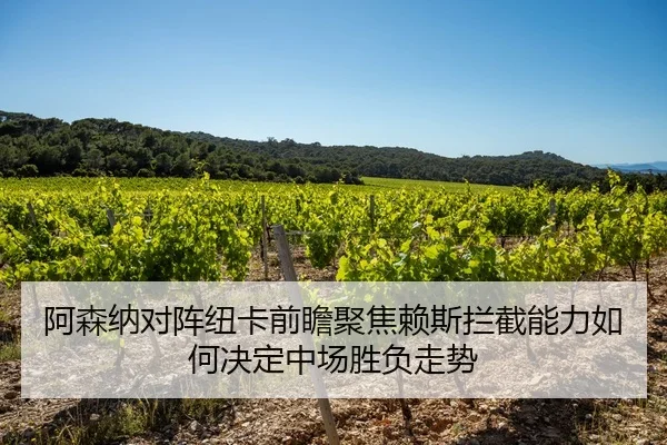 阿森纳对阵纽卡前瞻聚焦赖斯拦截能力如何决定中场胜负走势